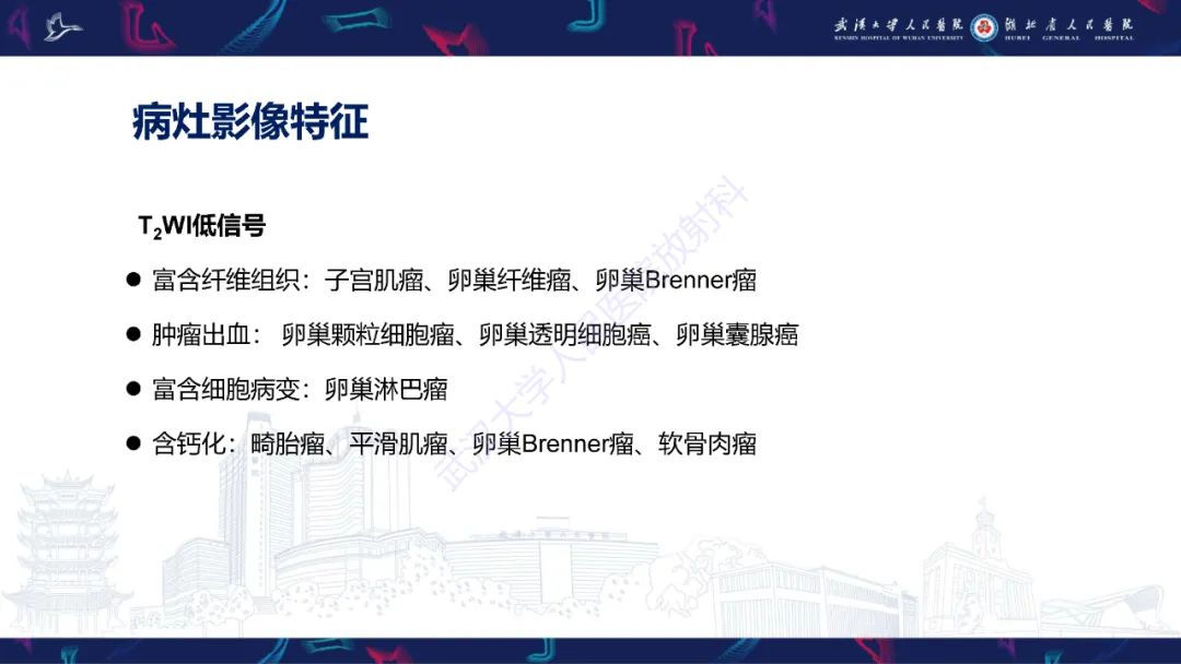 影像PPT - 【PPT】盆腹腔巨大占位性病变影像诊断-52