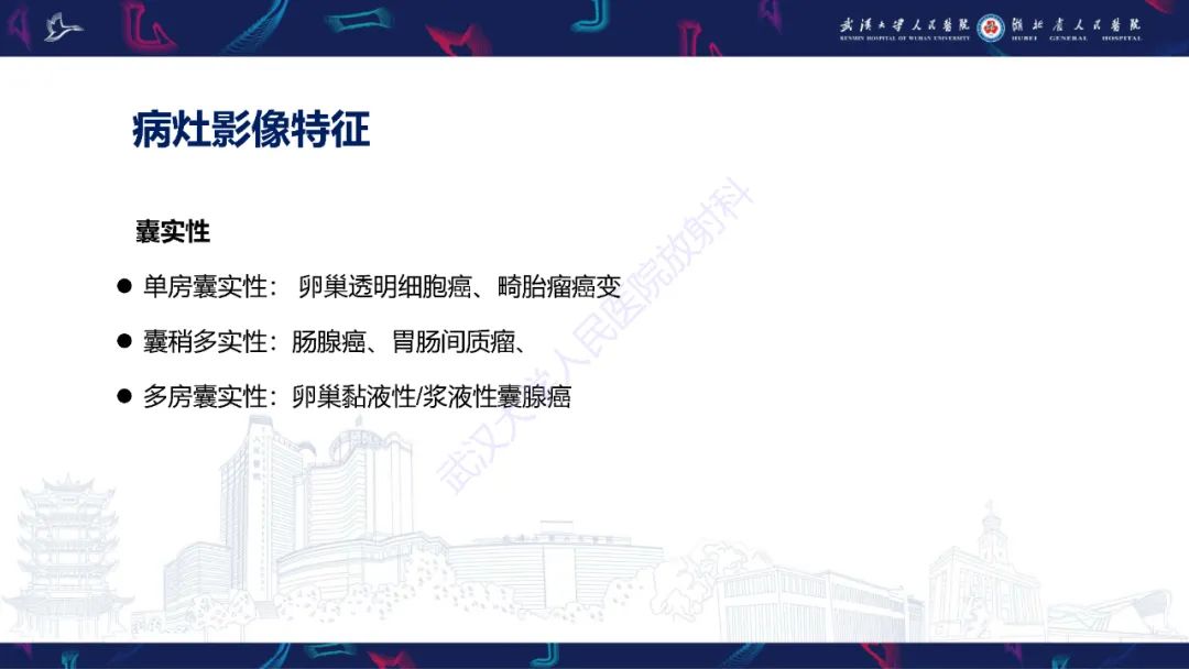 影像PPT - 【PPT】盆腹腔巨大占位性病变影像诊断-65