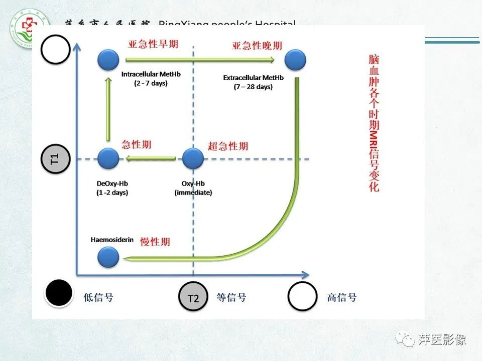 影像PPT - 【PPT】脑出血的分类及相关影像学表现-45
