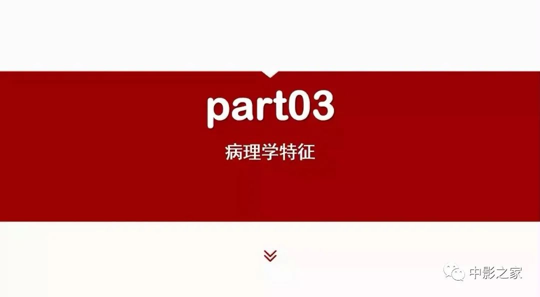 影像PPT - 【PPT】肾嫌色细胞癌影像诊断、鉴别、分级与预后评估-11
