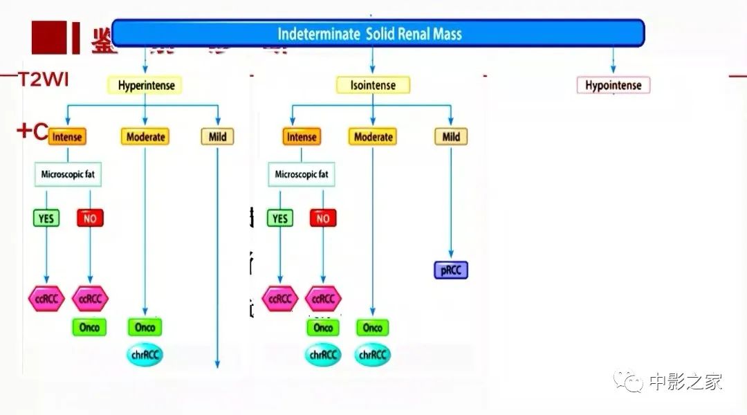 影像PPT - 【PPT】肾嫌色细胞癌影像诊断、鉴别、分级与预后评估-44