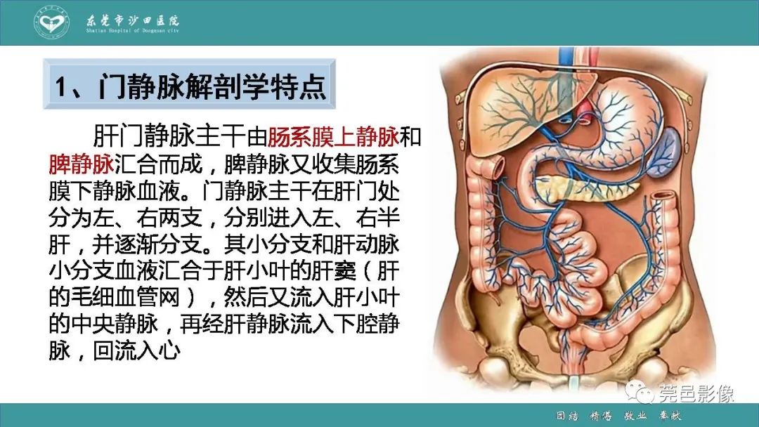 影像PPT - 【PPT】1例肠缺血坏死伴门静脉积气的CT诊断-21