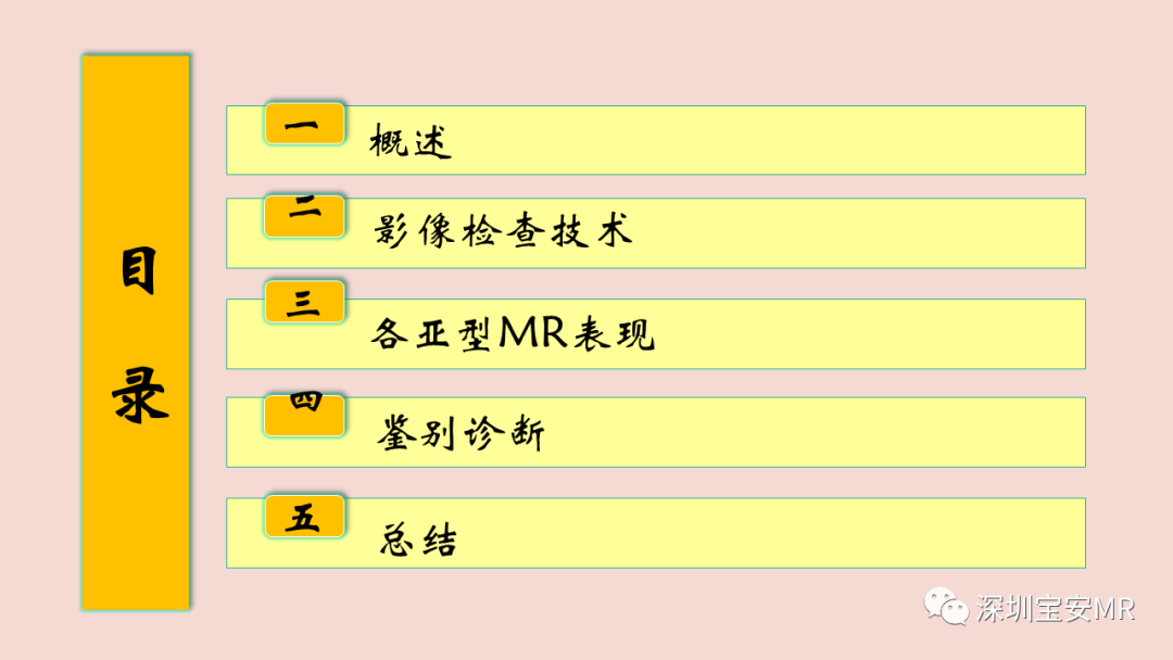 影像PPT - 【PPT】卵巢交界性上皮性肿瘤MRI与病理对照-2