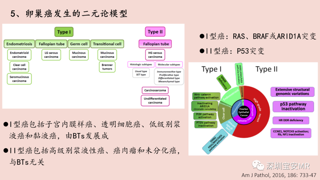 影像PPT - 【PPT】卵巢交界性上皮性肿瘤MRI与病理对照-6