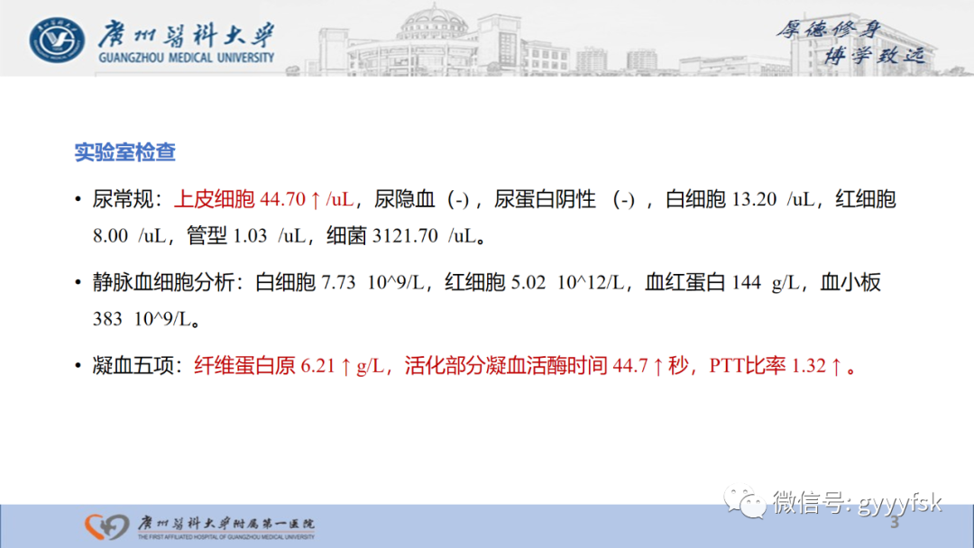 影像PPT - 【PPT】肾少见肿瘤影像诊断的文献汇报-3