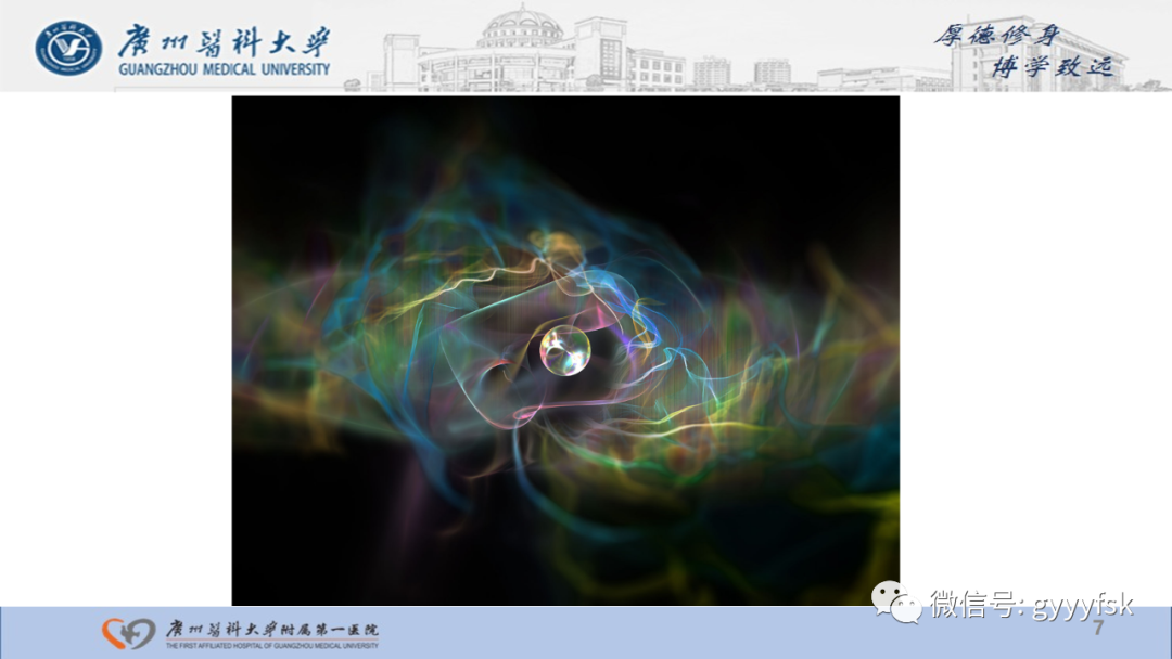 影像PPT - 【PPT】肾少见肿瘤影像诊断的文献汇报-7