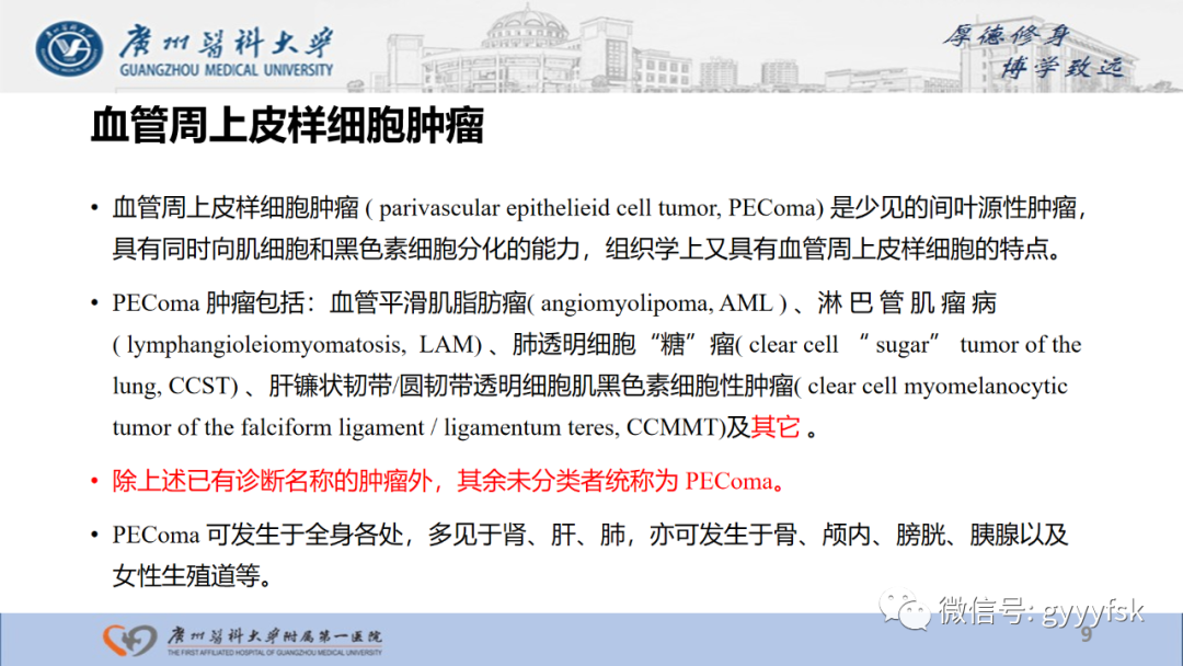 影像PPT - 【PPT】肾少见肿瘤影像诊断的文献汇报-9