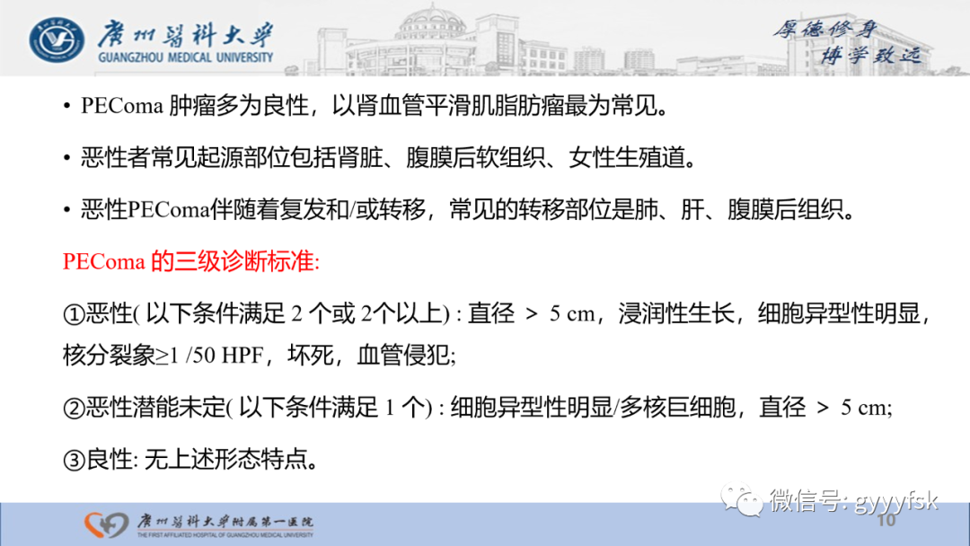 影像PPT - 【PPT】肾少见肿瘤影像诊断的文献汇报-10