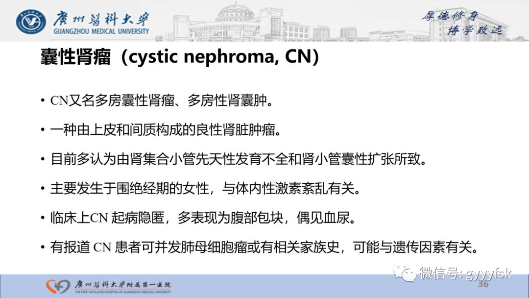 影像PPT - 【PPT】肾少见肿瘤影像诊断的文献汇报-36