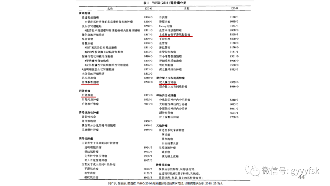 影像PPT - 【PPT】肾少见肿瘤影像诊断的文献汇报-44
