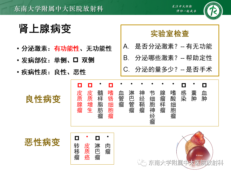 影像PPT - 【PPT】肾上腺占位病例随访-5