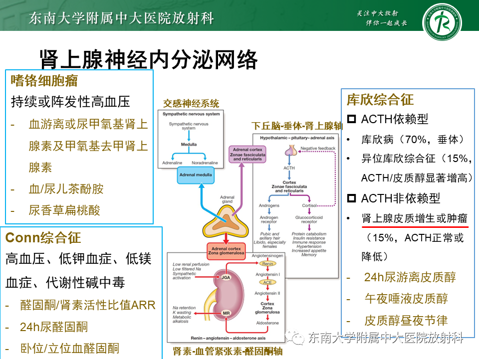 影像PPT - 【PPT】肾上腺占位病例随访-4