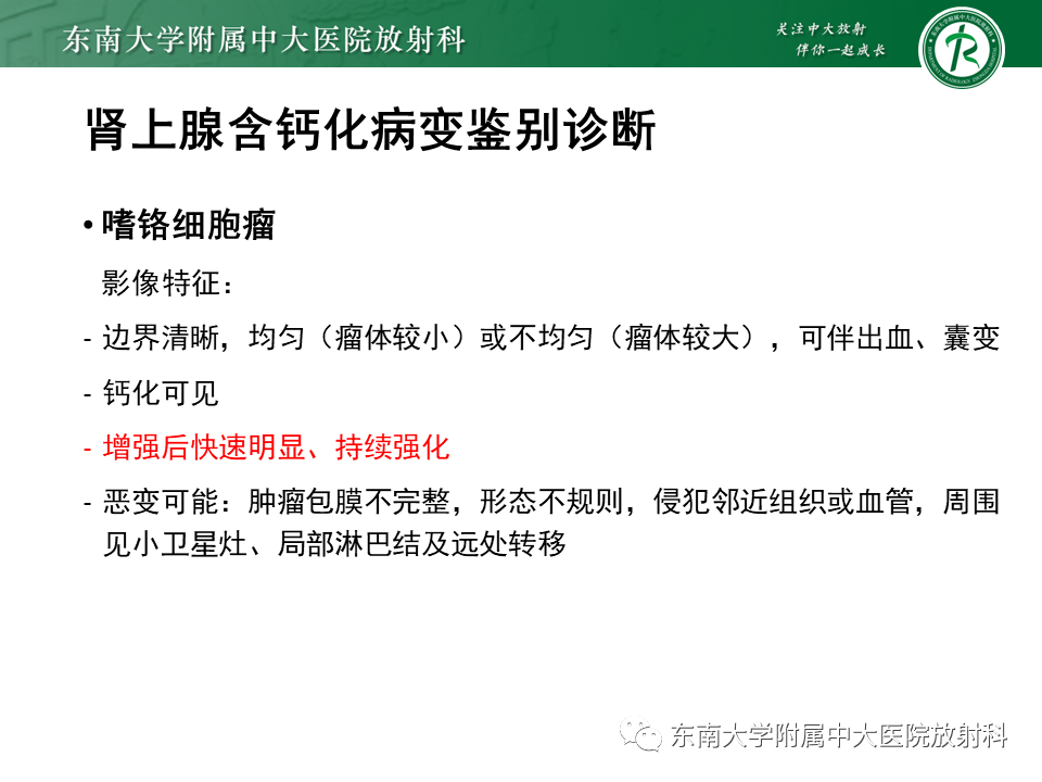 影像PPT - 【PPT】肾上腺占位病例随访-11