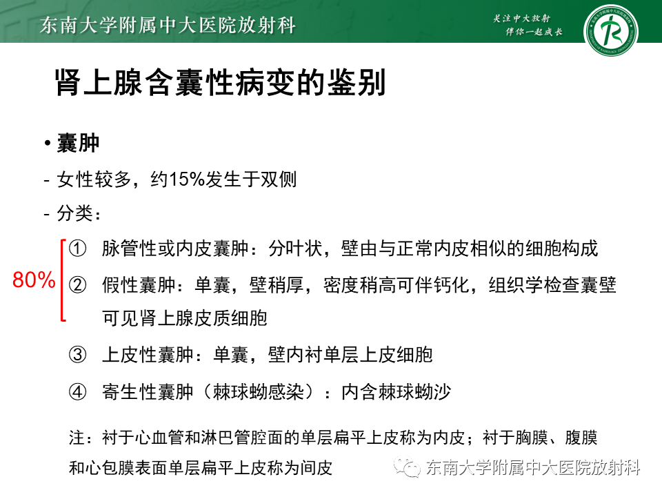 影像PPT - 【PPT】肾上腺占位病例随访-21