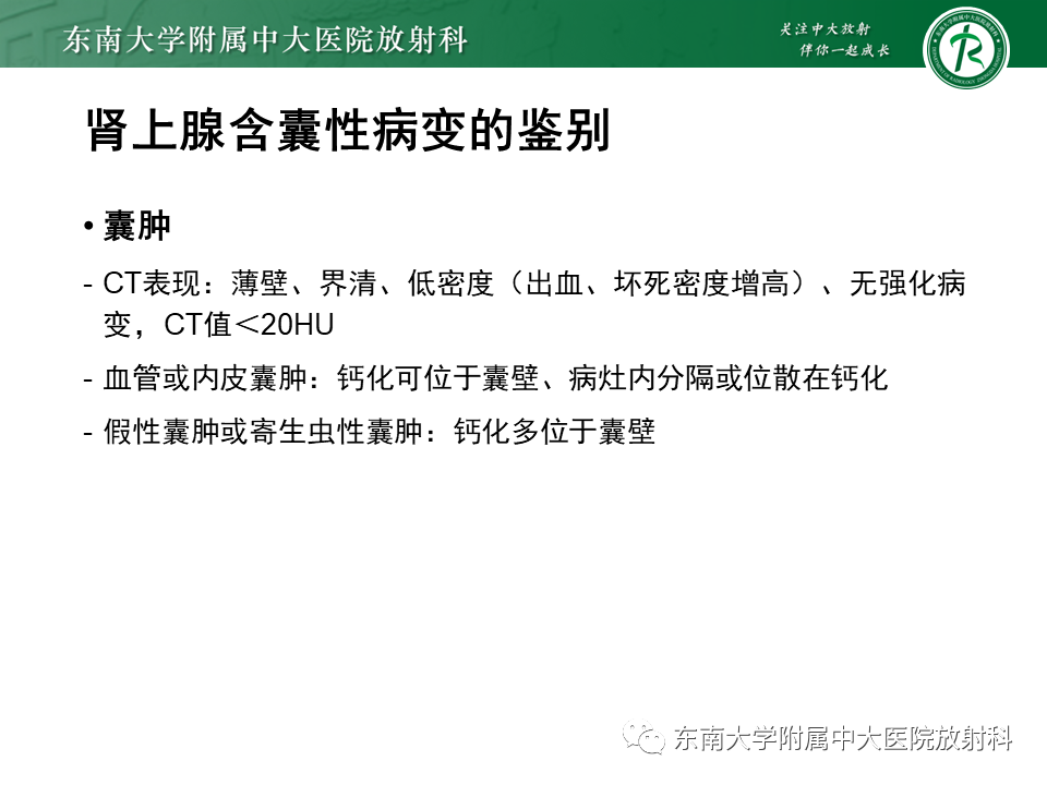影像PPT - 【PPT】肾上腺占位病例随访-22