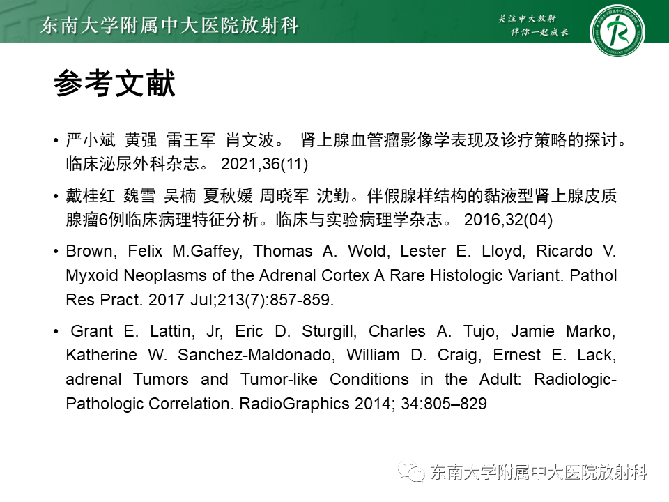 影像PPT - 【PPT】肾上腺占位病例随访-32