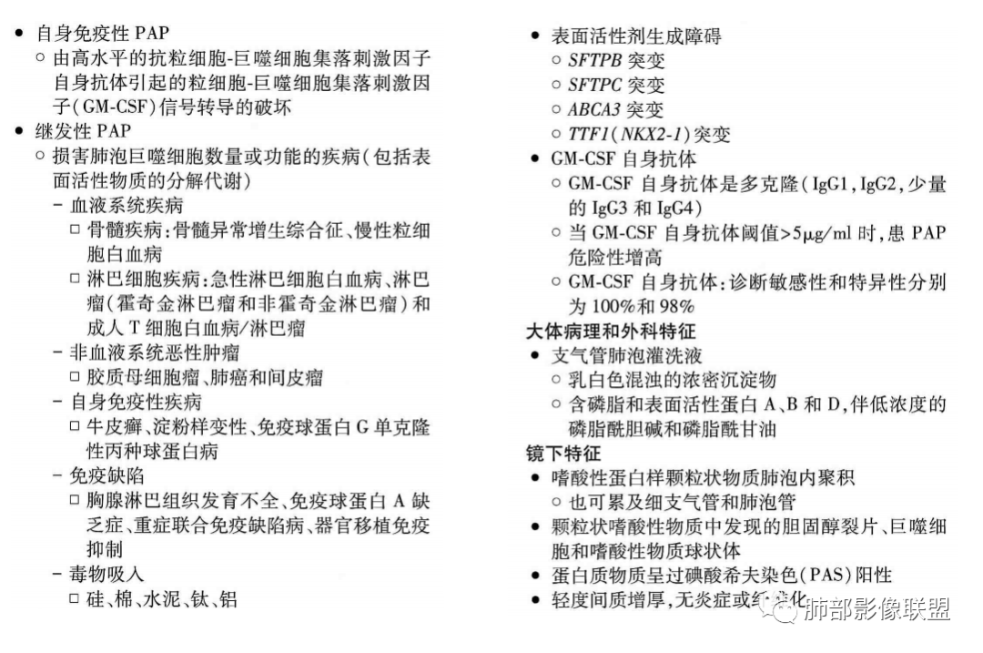影像PPT - 【病例】肺泡蛋白沉积症1例CT影像-24 影像PPT - 【病例】肺泡蛋白沉积症1例CT影像-24