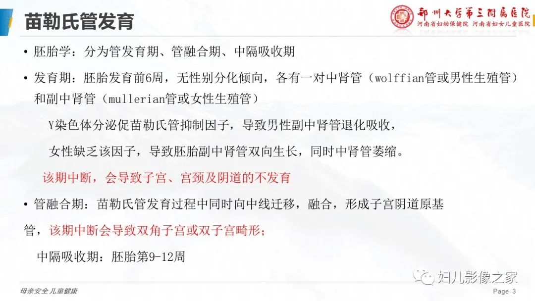 影像PPT - 【病例】先天性阴道闭锁1例MR影像-14