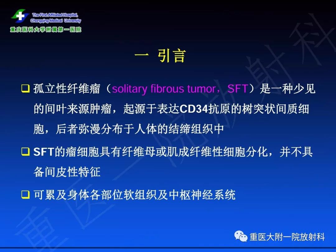 影像PPT - 【PPT】孤立性纤维瘤的影像学诊断及鉴别诊断-2