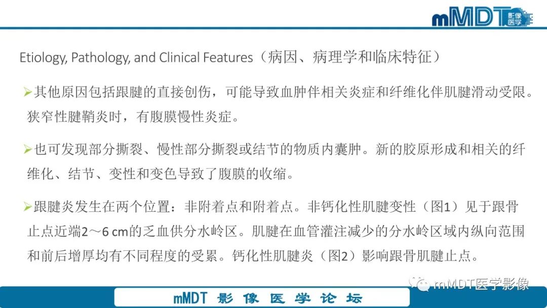 影像PPT - 【PPT】踝关节—跟腱损伤的影像分析-7 影像PPT - 【PPT】踝关节—跟腱损伤的影像分析-7