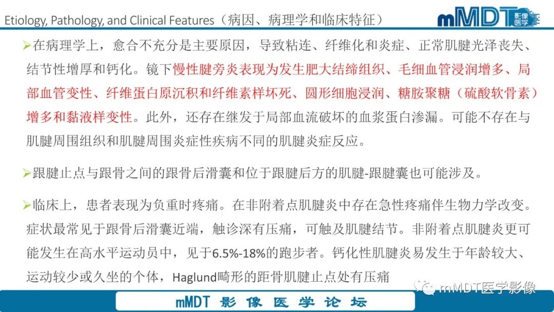 影像PPT - 【PPT】踝关节—跟腱损伤的影像分析-10 影像PPT - 【PPT】踝关节—跟腱损伤的影像分析-10