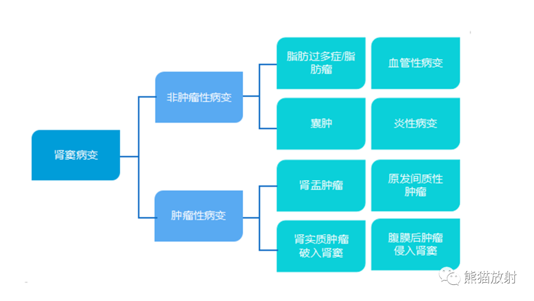 影像PPT - 【PPT】肾窦病变影像诊断思路-20