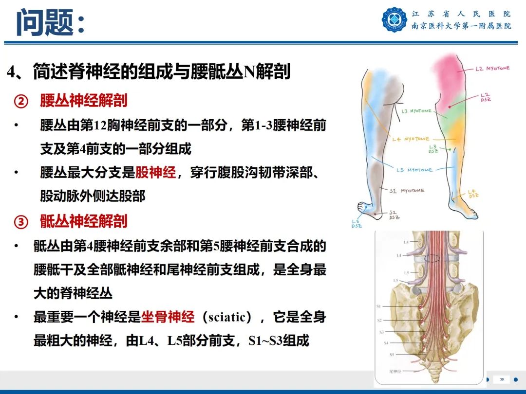 影像PPT - 【PPT】Bertolotti 综合征-31
