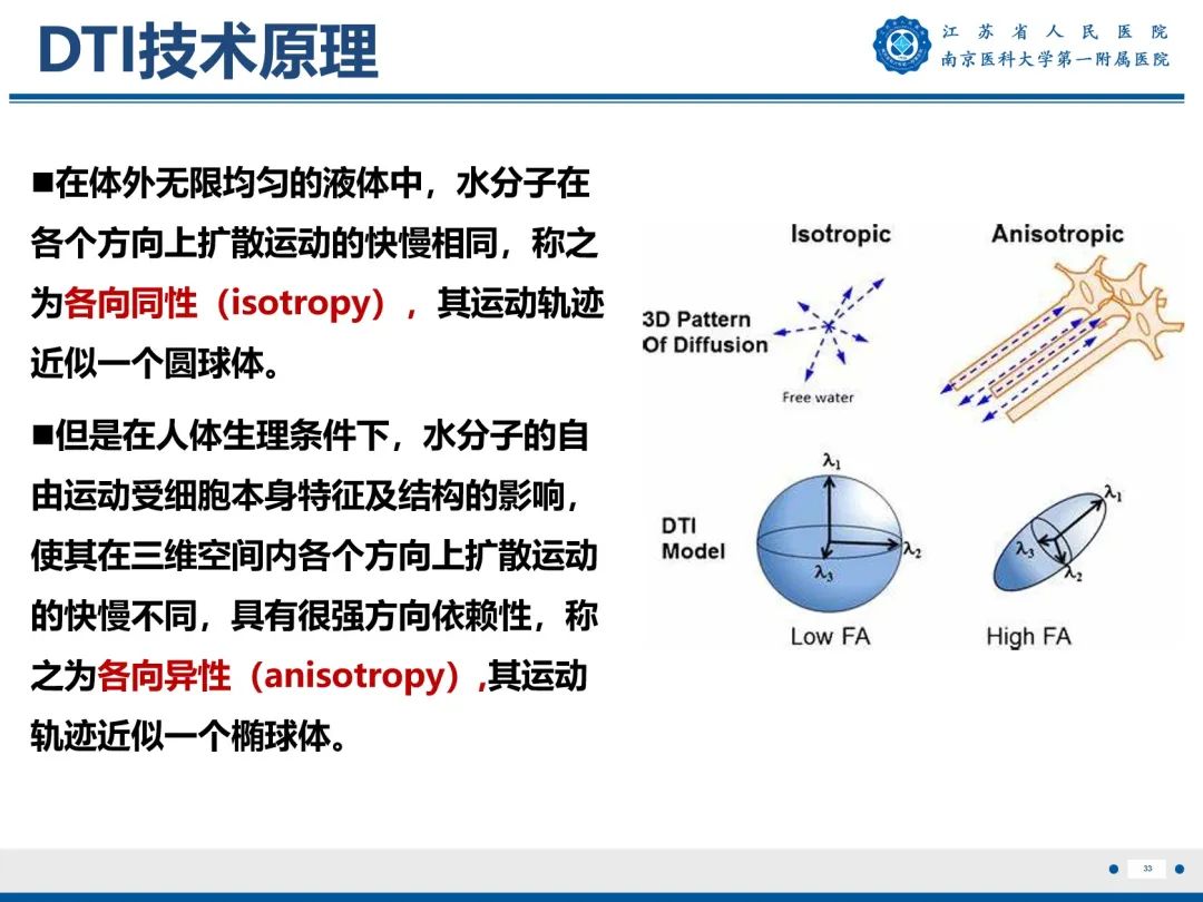 影像PPT - 【PPT】Bertolotti 综合征-34