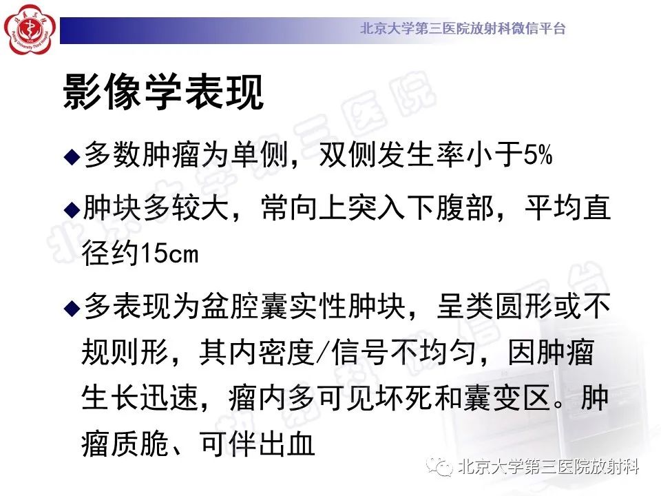 影像PPT - 【PPT】卵巢卵黄囊瘤/内胚窦瘤-14