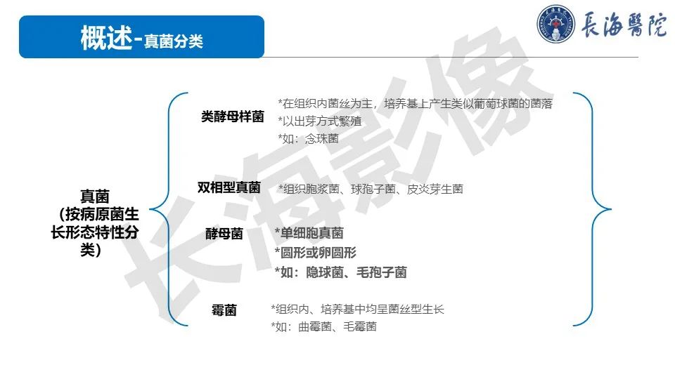 影像PPT - 【PPT】肺部隐球菌感染CT诊断-4