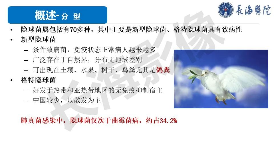 影像PPT - 【PPT】肺部隐球菌感染CT诊断-6