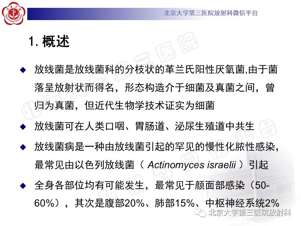 影像PPT - 【PPT】肺放线菌病-14