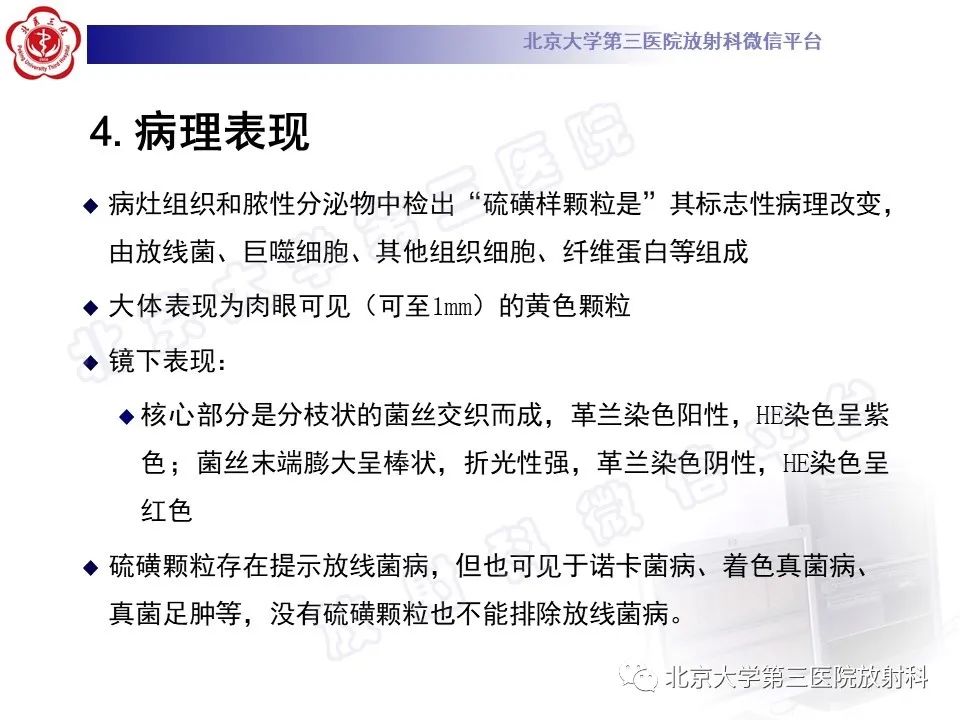 影像PPT - 【PPT】肺放线菌病-19
