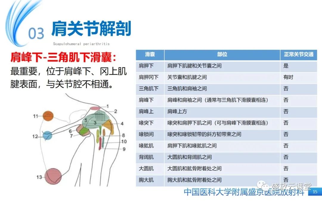 影像PPT - 【PPT】肩关节周围炎(肩周炎)-15