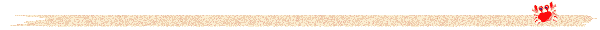 影像PPT - 【病例】胰腺真性囊肿 VS 假性囊肿-27