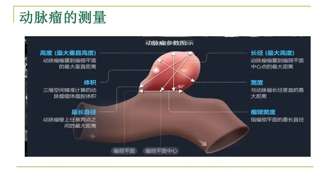 影像PPT - 【PPT】影像报告注意事项汇总(神经系统)-23