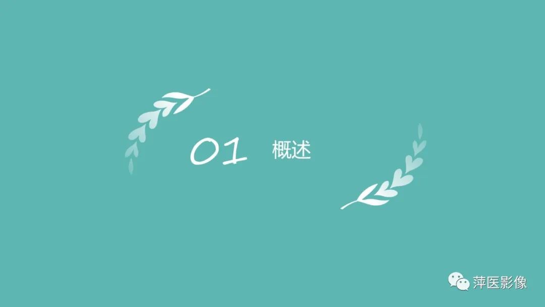 影像PPT - 【PPT】胰腺实性假乳头状瘤-3