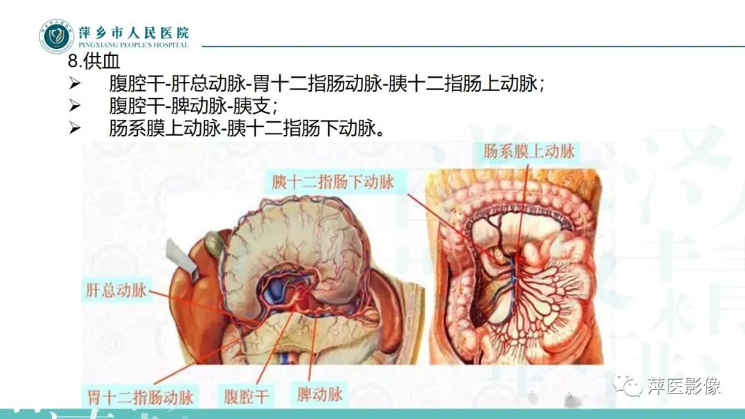 影像PPT - 【PPT】胰腺实性假乳头状瘤-5