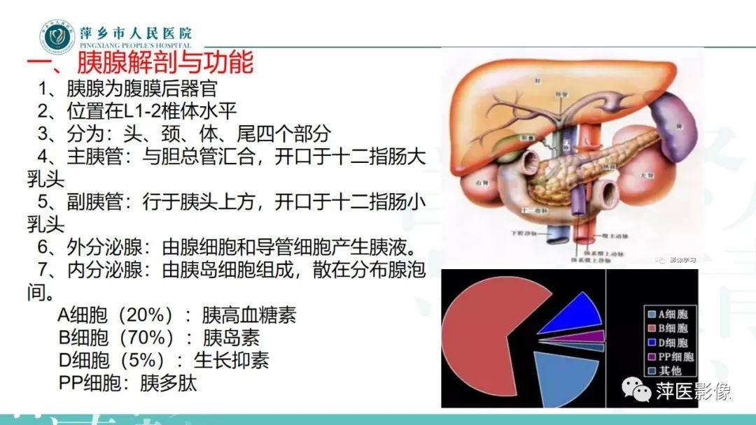 影像PPT - 【PPT】胰腺实性假乳头状瘤-4
