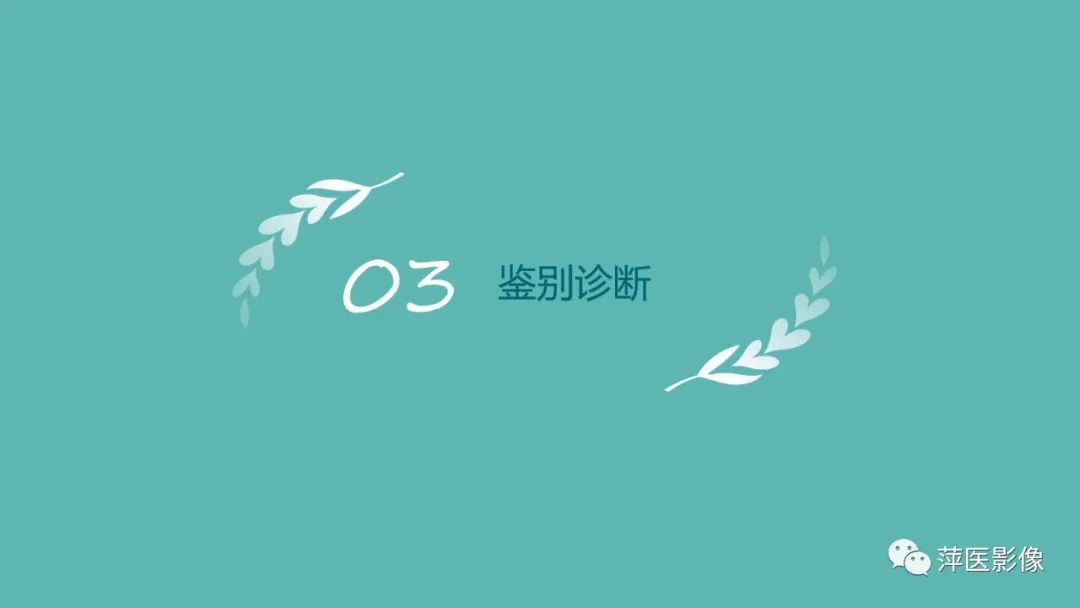 影像PPT - 【PPT】胰腺实性假乳头状瘤-13