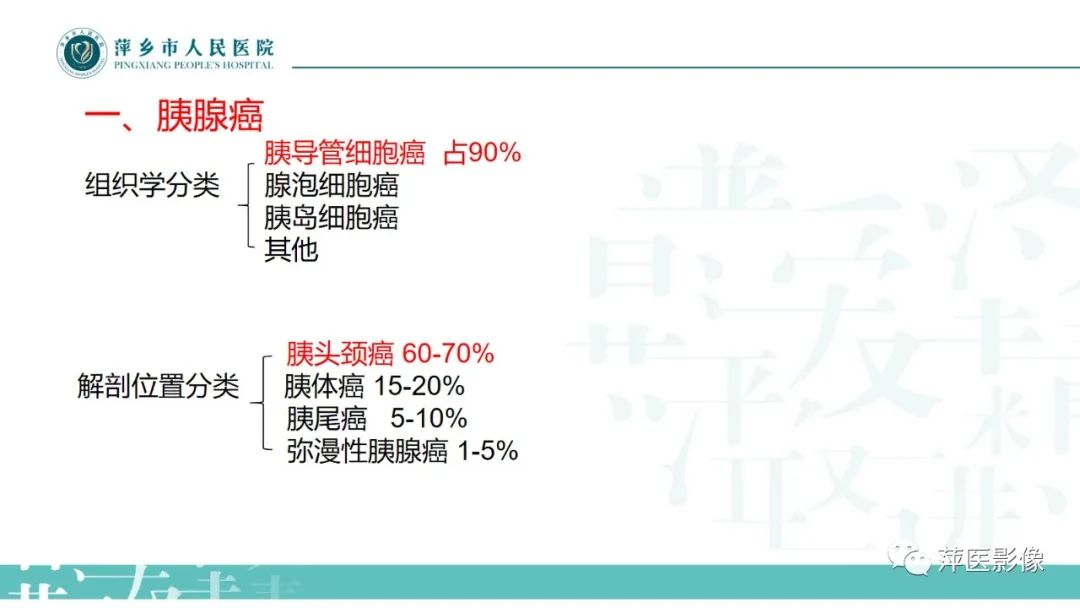 影像PPT - 【PPT】胰腺实性假乳头状瘤-14