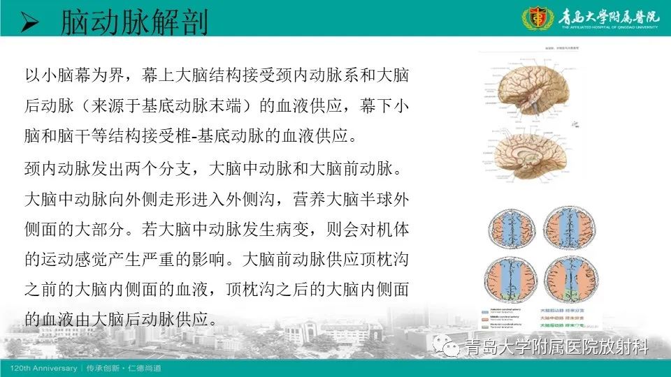 影像PPT - 【病例】颅内巨大动脉瘤1例CT及MR-13