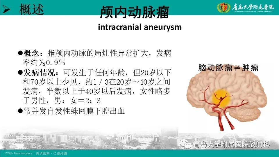 影像PPT - 【病例】颅内巨大动脉瘤1例CT及MR-14