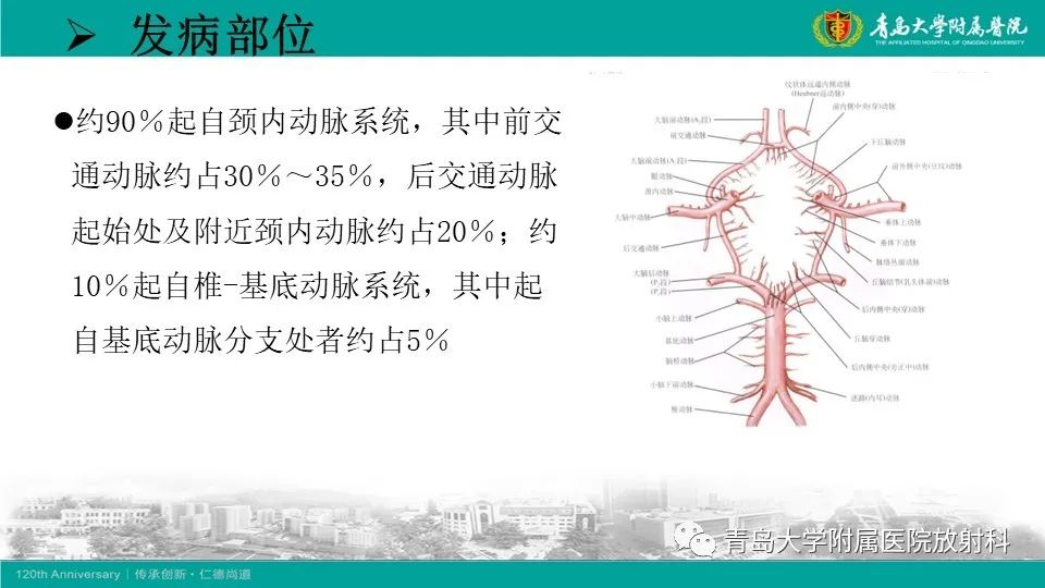 影像PPT - 【病例】颅内巨大动脉瘤1例CT及MR-16
