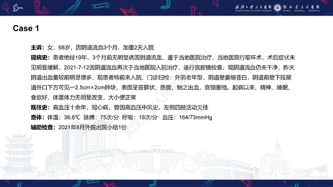 影像PPT - 【PPT】阴道髓系肉瘤影像诊断-2