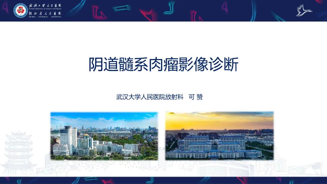 影像PPT - 【PPT】阴道髓系肉瘤影像诊断-1