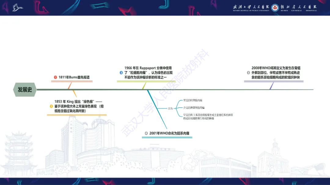影像PPT - 【PPT】阴道髓系肉瘤影像诊断-7