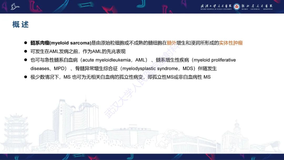 影像PPT - 【PPT】阴道髓系肉瘤影像诊断-8