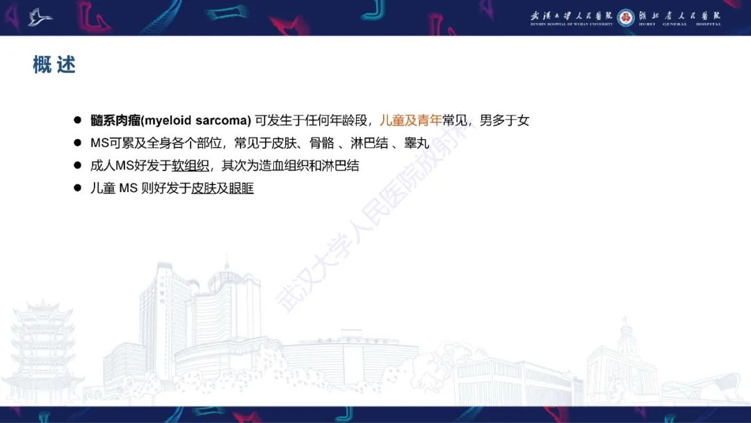 影像PPT - 【PPT】阴道髓系肉瘤影像诊断-9