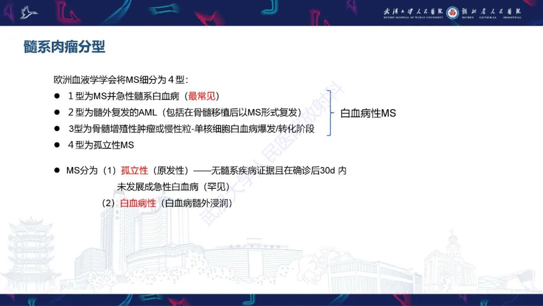 影像PPT - 【PPT】阴道髓系肉瘤影像诊断-10